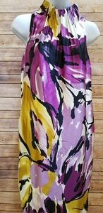 NEW!  Ann Taylor Silk Watercolor Dress